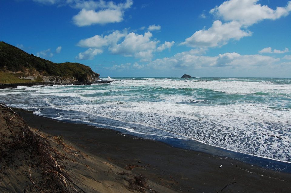 Bãi biển cát đen – Bãi biển Muriwai New Zealand