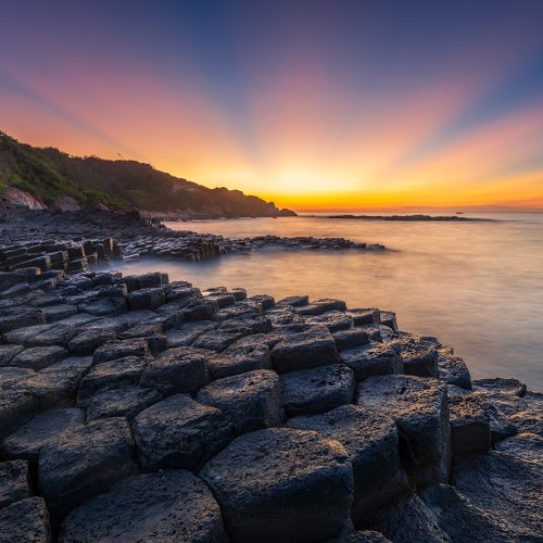 Phú Yên – Hoa vàng trên cỏ xanh xứ “Nẫu”