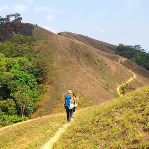 Đỉnh Langbiang: Chinh phục đỉnh núi cao nhất Đà Lạt