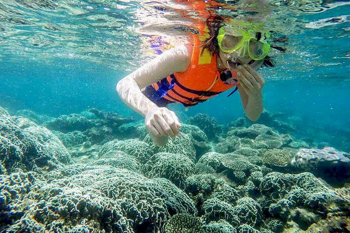 Du lịch Vĩnh Hy – Tham quan vịnh và lặn ngắm san hô