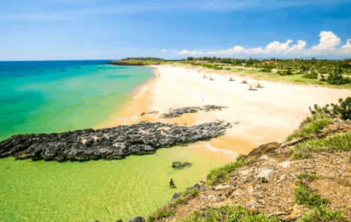 Chương trình tour Quy Nhơn – Phú Yên Hoa vàng cỏ xanh