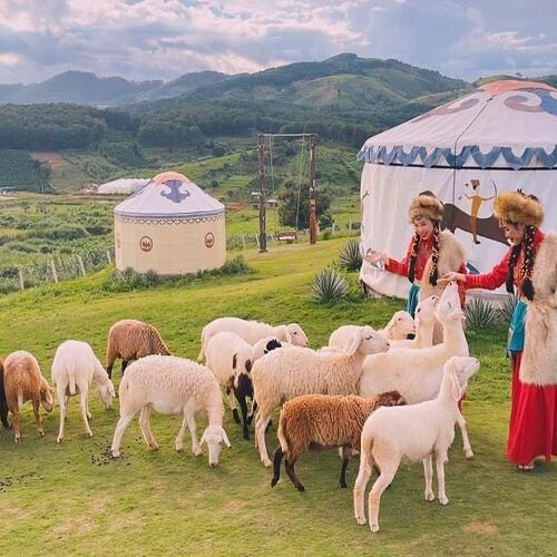 Chương trình tour khám phá những địa điểm mới 2024