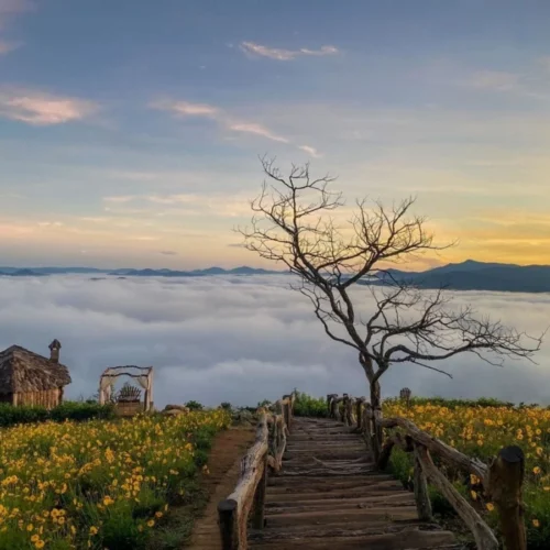 Chương trình tour Giao lưu văn hóa cồng chiêng Đà Lạt