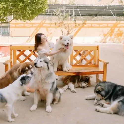 Chương trình tour Check in những địa điểm hot