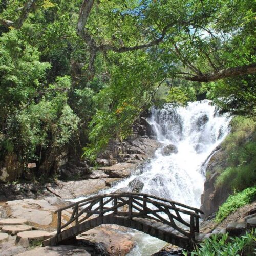 Chương trình tour 1 ngày: Ngoại thành Đà Lạt