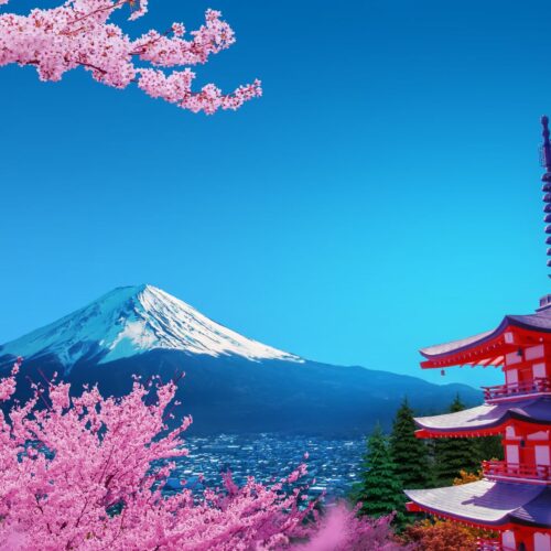 Tour Khám Phá Mùa Hoa Anh Đào Nhật Bản 2025: HÀ NỘI – OSAKA – KYOTO – PHÚ SĨ – TOKYO