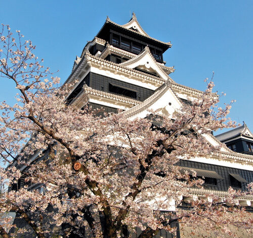 DU LỊCH NHẬT BẢN – FUKUOKA – BEPPU – KUMAMOTO MÙA XUÂN TỪ HÀ NỘI 2026