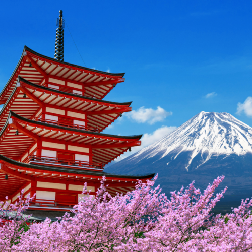 DU LỊCH NHẬT BẢN MÙA HOA ANH ĐÀO – TOKYO – PHÚ SĨ – NAGOYA – KYOTO – OSAKA TỪ HÀ NỘI 2026