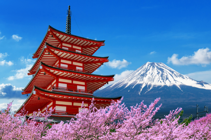 DU LỊCH NHẬT BẢN MÙA HOA ANH ĐÀO – TOKYO – PHÚ SĨ – NAGOYA – KYOTO – OSAKA TỪ HÀ NỘI 2026