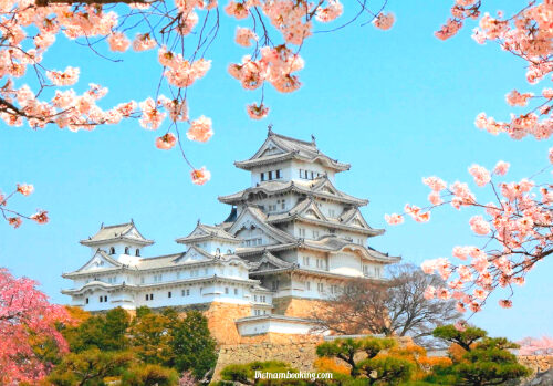 DU LỊCH NHẬT BẢN MÙA XUÂN – TOKYO – PHÚ SĨ TỪ HÀ NỘI 2026
