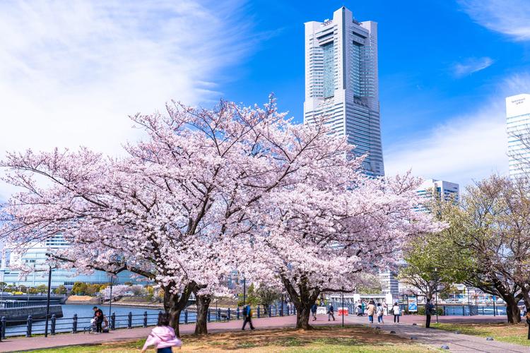 Công viên Yamashita 